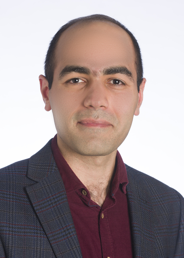 Profile picture of Saeed Miramini