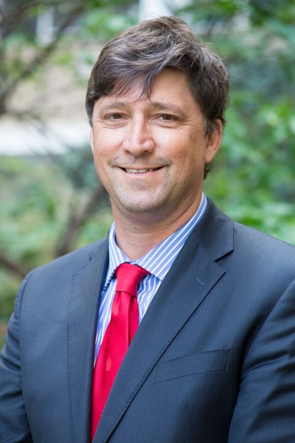 Profile picture of David Story
